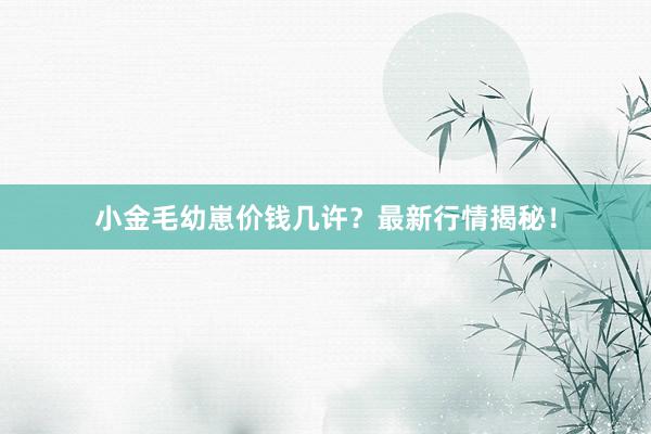 小金毛幼崽价钱几许？最新行情揭秘！