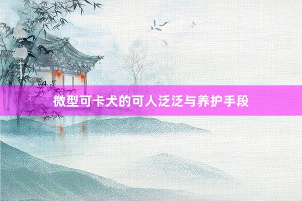 微型可卡犬的可人泛泛与养护手段